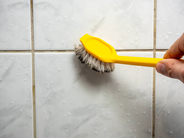 Best Localized Mold Remediation (e.g., coastal areas, humid climates) in Weston Lakes, TX