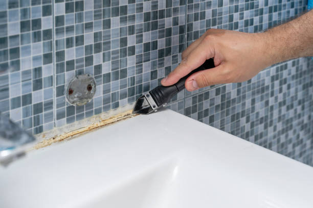 Best Preventive Mold Services in Weston Lakes, TX