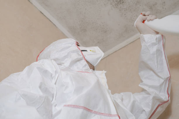 Best Post-Flood Mold Remediation in Weston Lakes, TX
